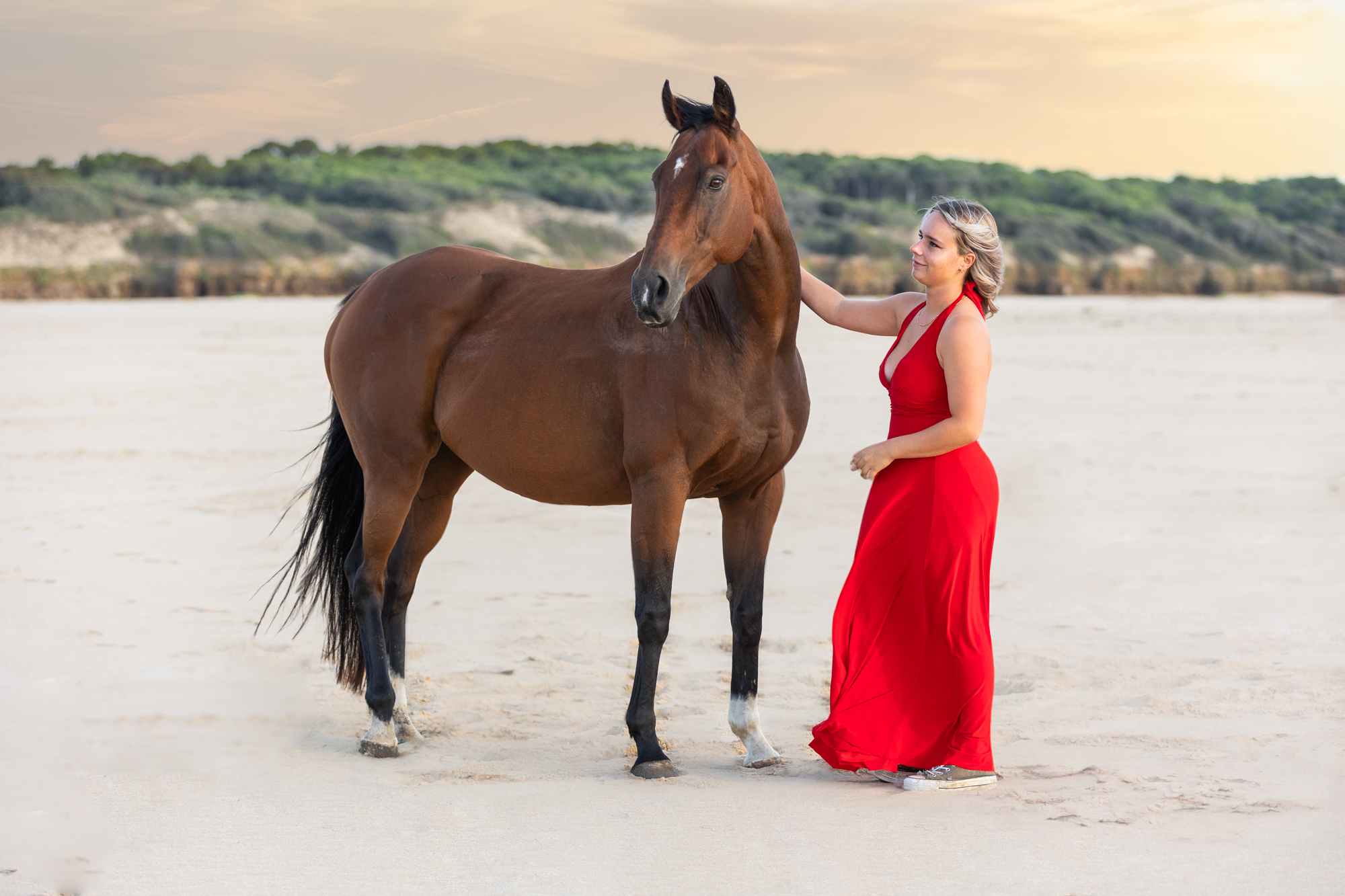 shooting cheval avec sa cavalière en extérieur à la plage