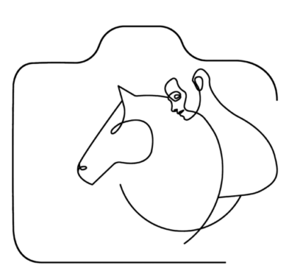 cropped-cropped-logoseulmoyen.png