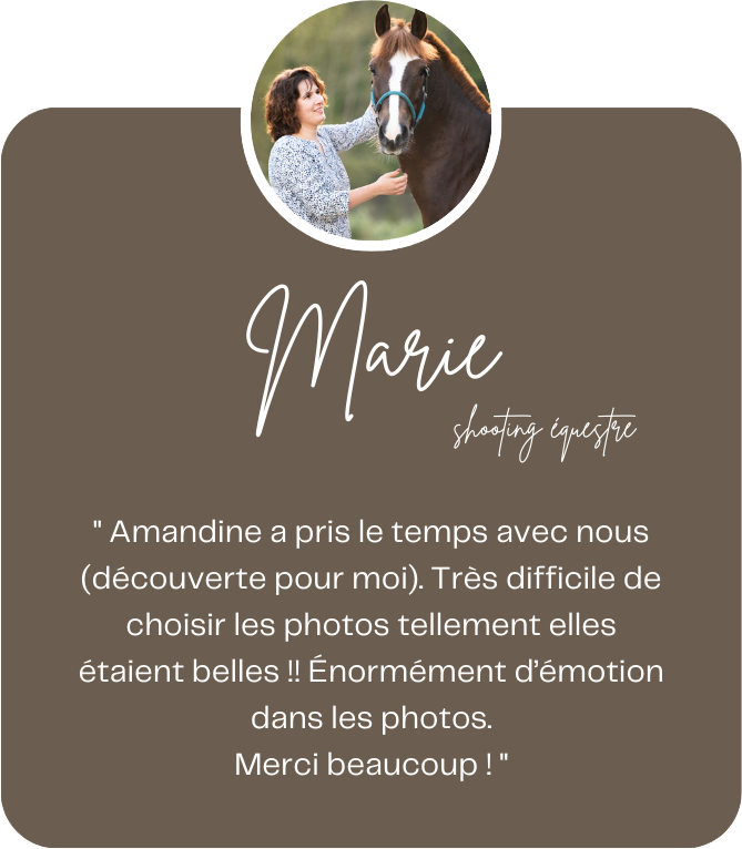 avis-client-photographe-vendee3