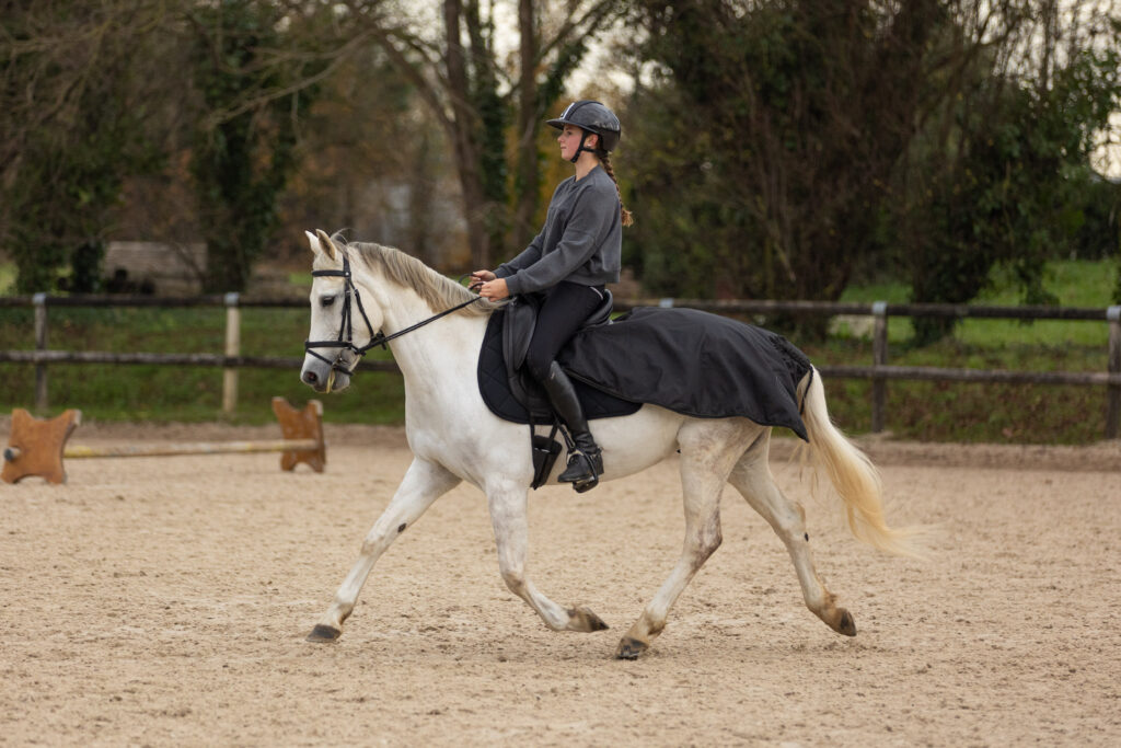 shooting entre cheval et sa proprietaire lors d'une séance